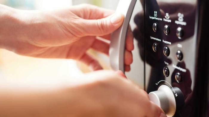 Microwave Oven Buying Guide for Beginners