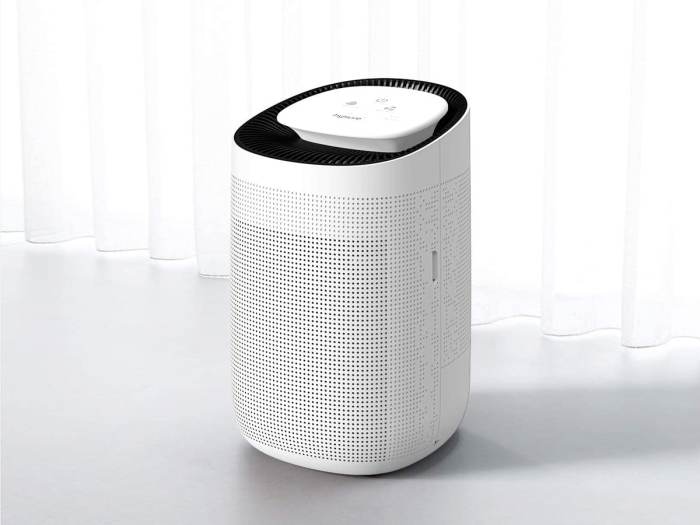 Best Dehumidifiers for Humid Rooms