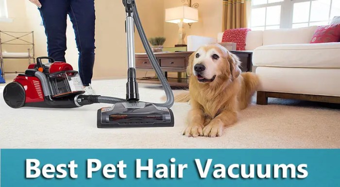 Top Vacuum Cleaners for Pet Hair