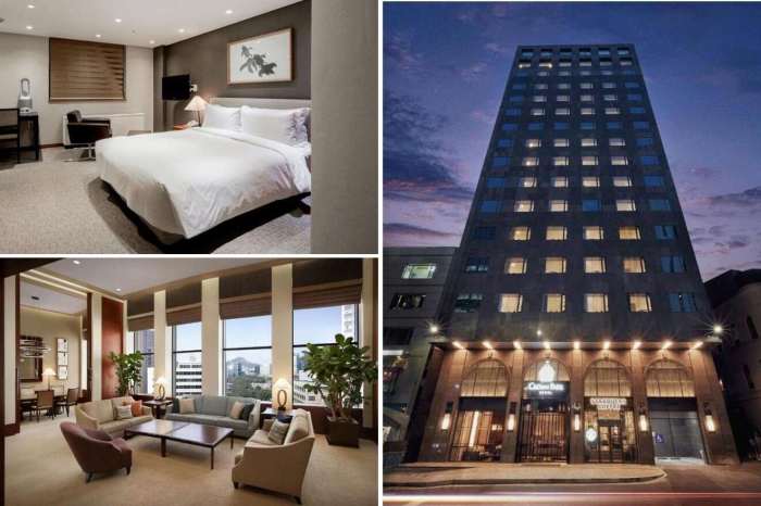 Pet-Friendly Hotels in Seoul Korea